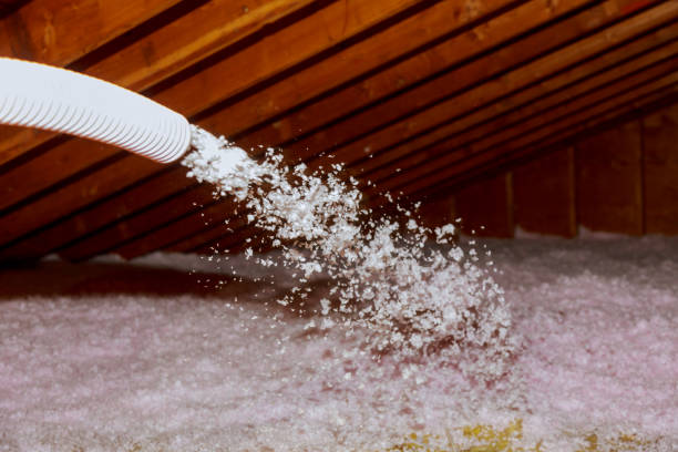 Best Residential Insulation in Burnt Store Marina, FL